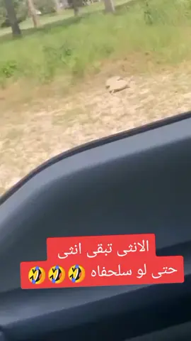 #?🤣🤣🤣🤣🤣? #?🤣🤣🤣🤣🤣?