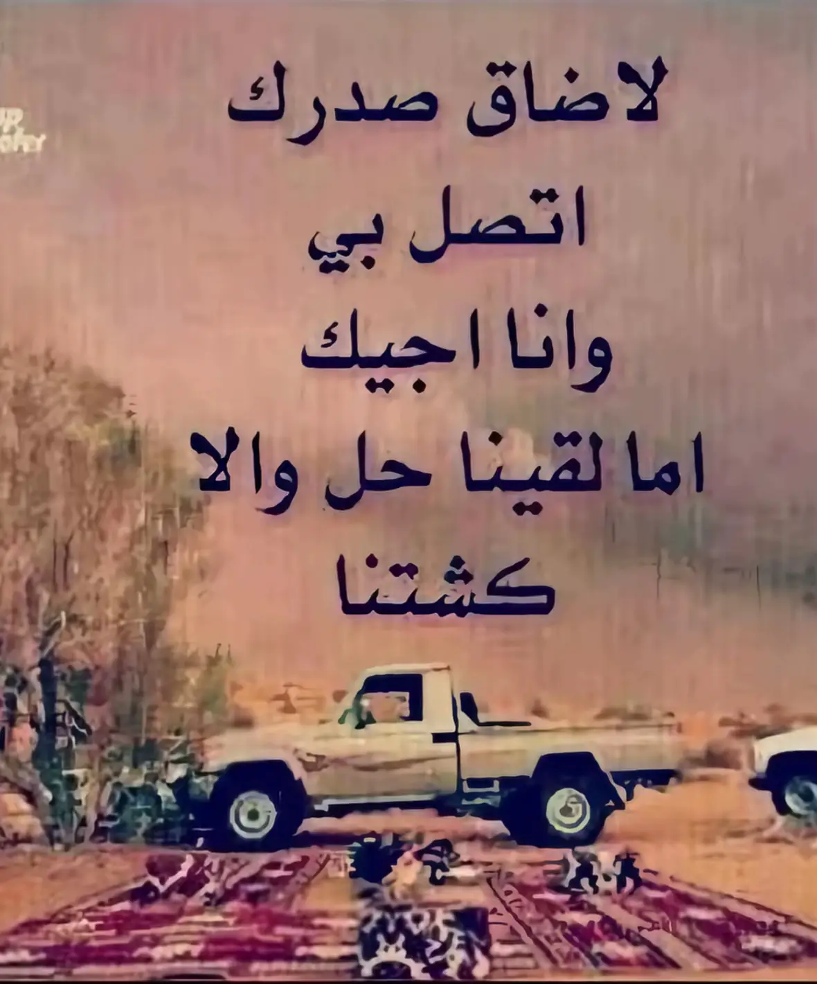 #fyp #كشتة #اكسبلور 