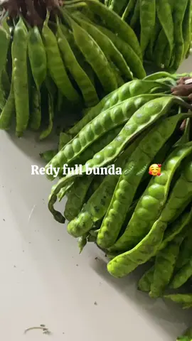 Redy full🥰🥰🫛🫛#fyppppppppppppppppppppppp #petejawa #fyp #tiktoklive 