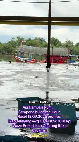 #kedai Berat ikan Cherang Ruku#fyp  #https://www.wasap.my/60194046026/tempahan#viral  #waze https://g.co/kgs/3F7S3G7