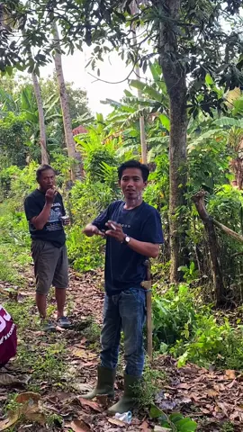 #unm #kkn2025seru #carigading_bone_sulsel 