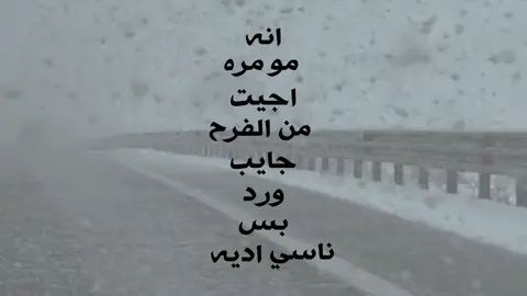 اني مو مره اجيت من الفرح جايب ورد 🤎🙇🏻‍♂️🌚 #شعراء_وذواقين_الشعر_الشعبي🎸 #لايك__explore___ #شعر #اشعار #محمد_فرحان 