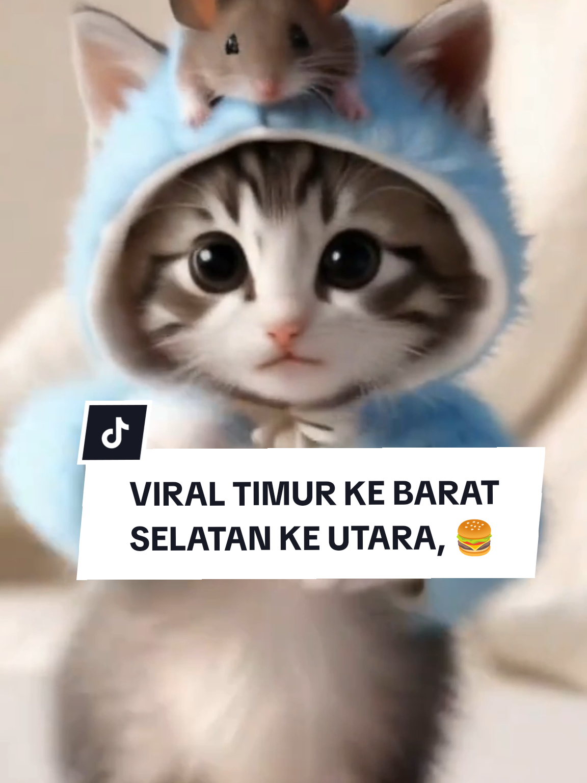 KUCING LUCU TABOLA BALE LAGU VIRAL, KUCING JOGET KUCING DANCE KUCING MEONG MEONG MEONG #kucingoren #kucingtiktok #kucinggemoy #kucinglucu #kucing 