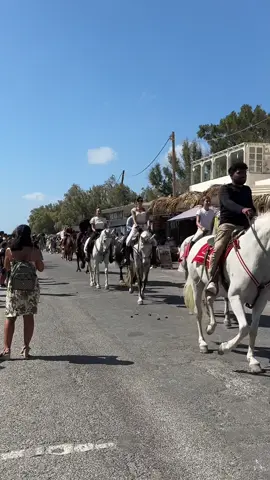 Χρόνια πολλά  Παρέλαση αλόγων για να γιορτάσουμε τον Τίμιο Σταύρο #santorini 