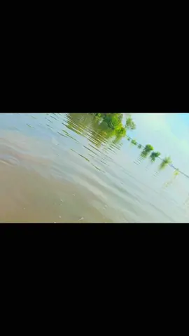 #oryoupageofficiall #yaghaziabbas #viraltiktok #fly #standwithkashmir 