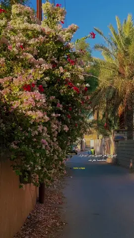 آخر اقتباس نسخته… #الانبار_الرمادي #الانبار #الرمادي_شموخ_عزالانبار #محافظات_العراق  