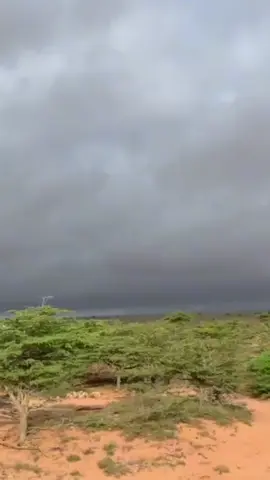 Roob maheshen?🌨🌧#dhaqandhowr1🐪 #followsoodheh✅️ #bywillmiyi🐪🐎🐎🐑👩‍🦯✅ #somalitiktok🇸🇴 #wabxo💙💚🤍 