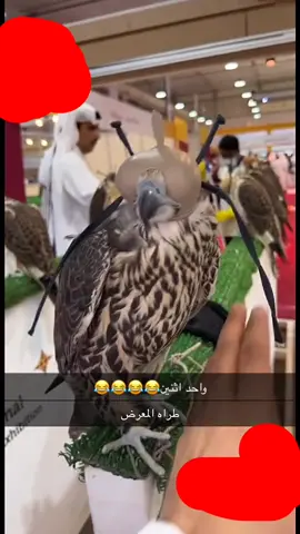 معرض سهل#معرض_سهيل#ههههههههههههههههههههههههههههههههههههههه🤣 #اسهيل🌎❤️ 