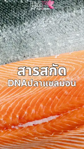 💡ช่วงสารสกัดน่ารู้✨ PDRN สารสกัดจากDNAปลาแซลมอน🐟🍣 ✨นำมาใช้ในผลิตภัณฑ์บำรุงผิว เช่น เซรั่มและโทนเนอร์แพด เพื่อการฟื้นฟูผิวอย่างต่อเนื่อง 🐟กระตุ้นการสร้างคอลลาเจน 🐟ต้านการอักเสบของผิว 🐟สมานแผล 🐟ปรับผิวให้แข็งแรง 🌱ปัจุบันมี PDRN จากพืชที่พัฒนาขึ้นเพื่อเป็นทางเลือกที่ยั่งยืนและลดการพึ่งพาสัตว์ ❌ สนใจสั่งผลิต ✅รับผลิตขั้นต่ำ 100ชิ้น ✅มีISO22716 และGMP ✅โรงงานมีมาตรฐานปลอดภัย ✅การันตี มากกว่า1,000แบรนด์ ✅มี Tester ให้สั่งซื้อ ผ่อนงานผลิต  💳✨ ผ่อนผ่านตะกร้าTiktok สูงสุด10เดือน ดอกเบี้ย 0%‼️ 💳🏭 ผ่อนผ่านโรงงาน สูงสุด 4เดือน ดอกเบี้ย 0%‼️ #สารสกัดPDRN #ทรัสตี้เดอมาร์สำอาง #โรงงานรับผลิตสกินแคร์ทุกชนิด #รับผลิตสกินแคร์ #มาตรฐานรับรอง 
