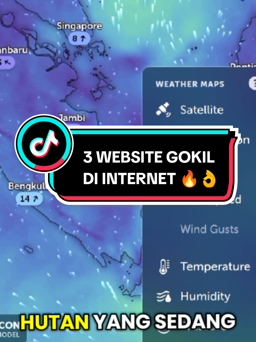 3 WEBSITE GOKIL YANG ADA DI INTERNET 🔥👌  #tipsandtricks #website #google #fyp #fyppppppppppppppppppppppp 