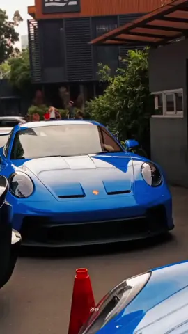 manis #catsoftiktok #carenthusiast #porsche 