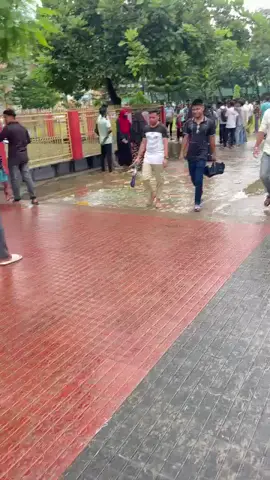 updarte news লুচ্চা প্রিন্সিপালের পদত্যাগের জন্য নওগাঁ সরকারি কলেজে শিক্ষার্থীরা আন্দোলনরত অবস্থায় রয়েছে