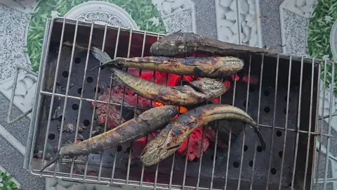 Chưa có chín 😅😅😅😅