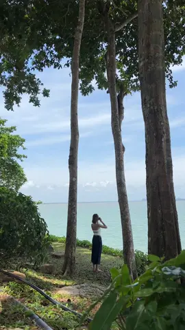 🌳