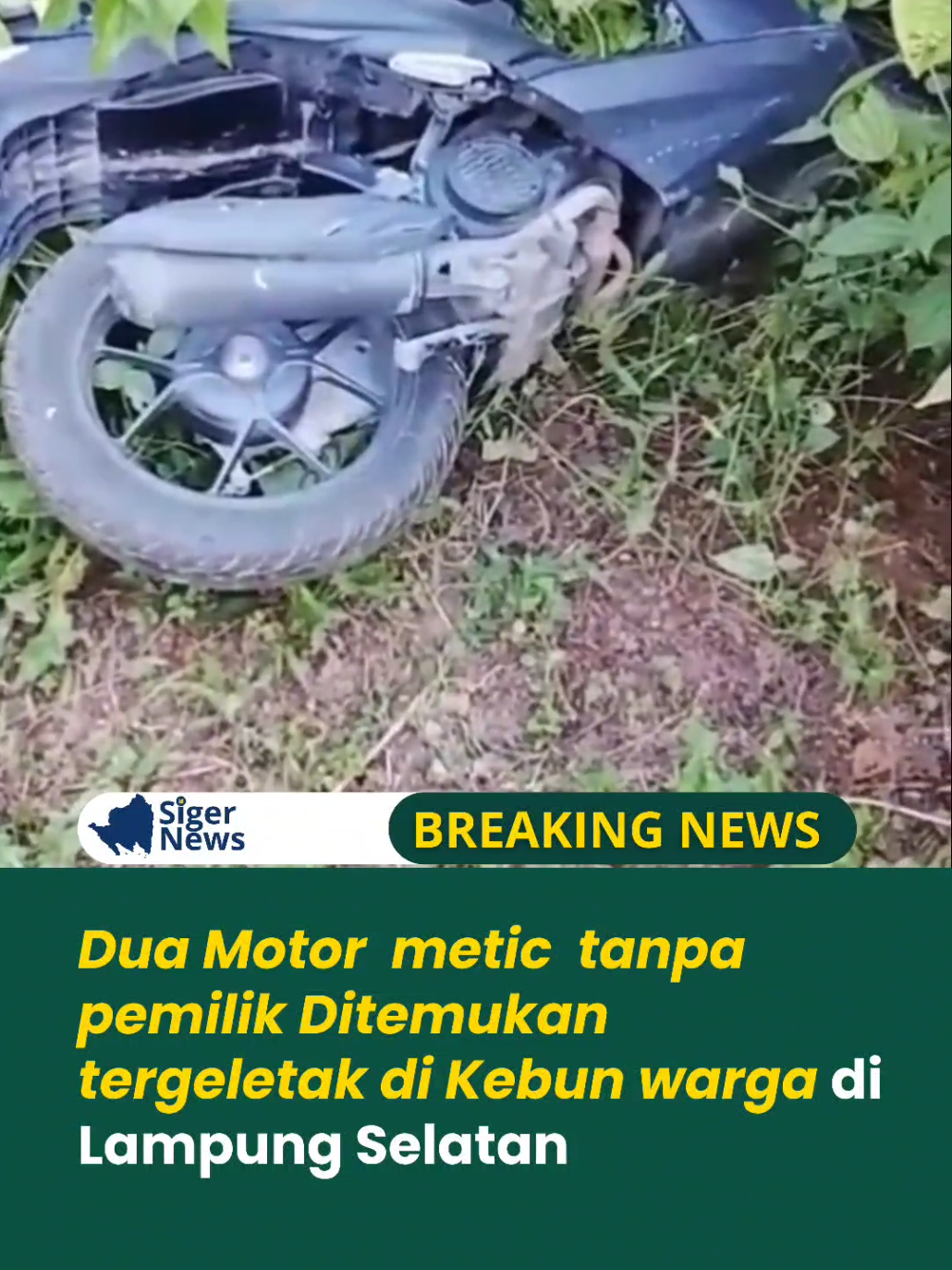 Dua Motor metic tanpa pemilik Ditemukan tergeletak di Kebun warga di Lampung Selatan