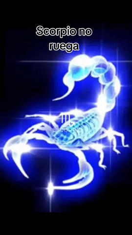 #sodiacoscorpio#scorpionoruega#tiktok🦂❤️