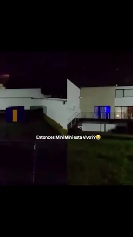 ¿?😭🤍 (Recién me despierto me ví todo el vivo) @Fede Vigevani 