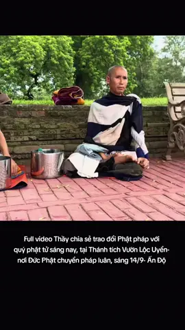 Kiến thức Phật pháp của Thầy thật sâu và rộng, Thầy trả lời rất hay. Nghe hết nhé mọi người 🥰 #xuhuong #thichminhtue #gaimienque ☘️🌸