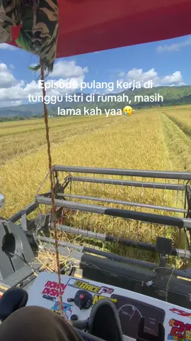 #foryoupage #petaniindonesia🇮🇩🇮🇩🇮🇩🌿🌿 #masukberandafyp #anaktanipadi🌾 #fyppppppppppppppppppppppp 