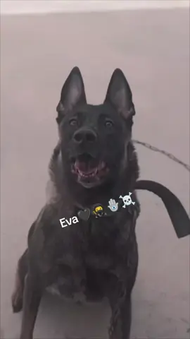#بوحجلة🔥🇹🇳 