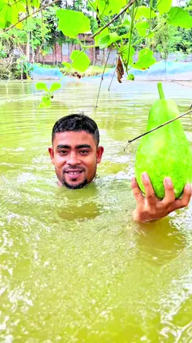 বৃষ্টির দিনে লাউ ভাত রেসিপি #shorts #cooking #tiktok #village 