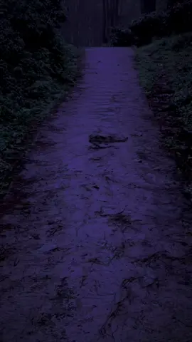 🙂