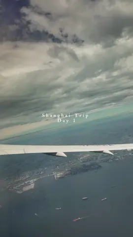 はじめての上海旅行1日目✈️ 羽田→虹橋空港 📍静安シャングリラ 📍TIMES GROCERY 📍上海Starbucksリザーブロースタリー 📍fig&olive このレストランが美味しすぎてリピートしたい！ #上海 #上海旅行 #MiniVlog #shanghai #shanghaitravel 