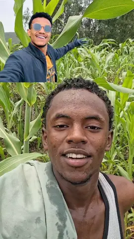 Muaz 🤣🤣🤣🤣🤣