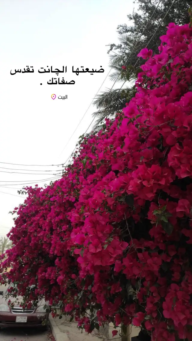 #عباراتكم #شعر #جامعة_الموصل #الحقوق #الشعب_الصيني_ماله_حل😂😂 