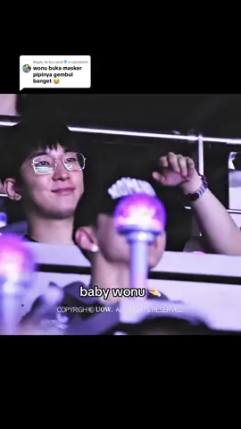 Replying to @by.carat💎 SI GEMBULLL WONUUU #wonwooseventeen #wonwoo #seventeen #svt_tour_new_ #fypkpop