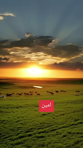 #بسم_الله_الرحمن_الرحيم 