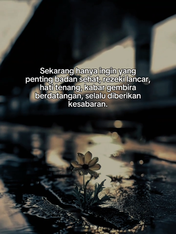 #CapCut #templatecapcut #katakata #foryou #fyp 