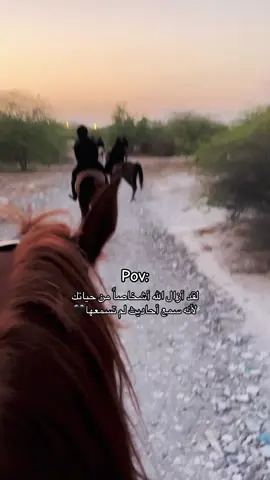 #explore 