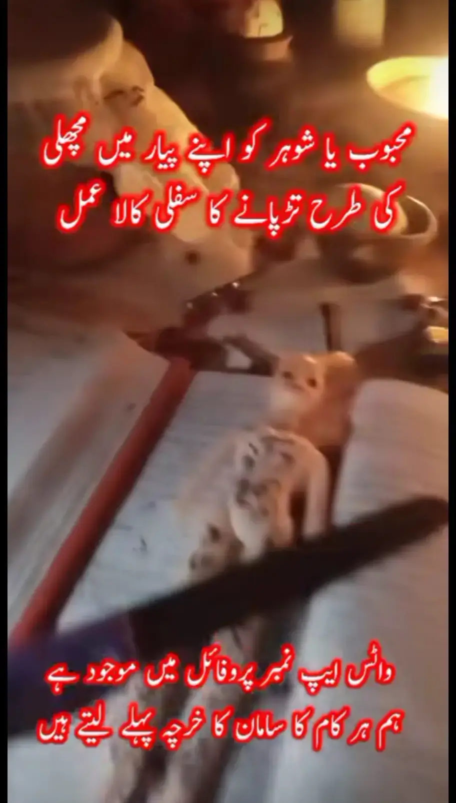 #foryou #viralvideos #millionviews #foryou #foryou +923142326268