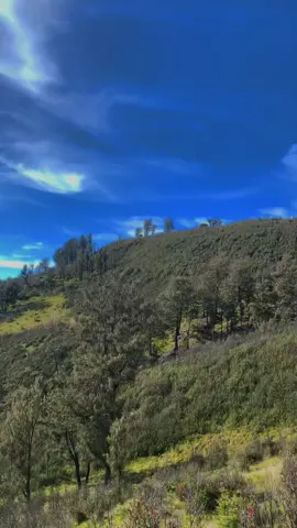 #CapCut #promoseruweekend #4u #fyp #hobi #pendakiindonesia #pendakifomo #viral #100k #masukberanda #masukberandafyp #bismillahfyp.           GALAU ABISS  #gununglawu #lawumountain 