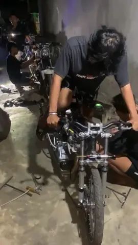 🥵#tigermahaseru #mahaserugank  #tigerherex #tiger #tigermodifikasi 