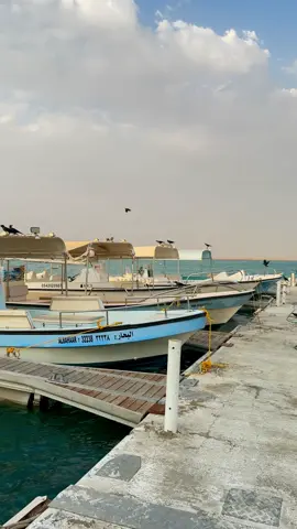 #ينبع #ينبع_المزه #explore 