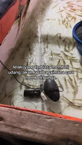 #xyzbca #fyp #foryou #mancing #anglerindonesia 