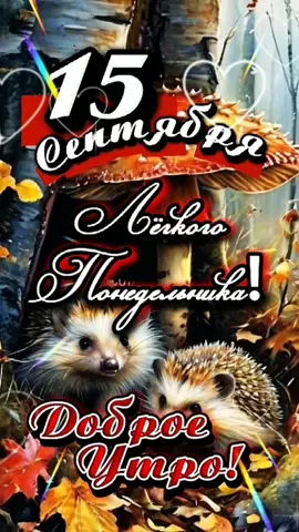 Доброе утро! #15сентября #ДОБРОЕУТРОНОВИНКИ  #понедельник 