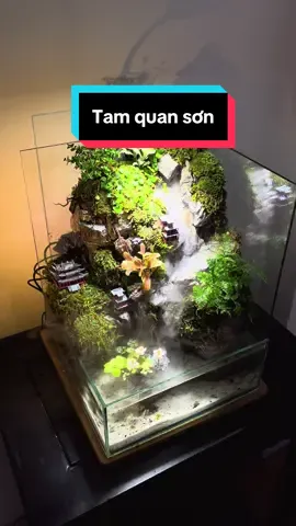 Tiểu cảnh thác nước “Tam quan sơn” thiết kế bởi Ngoc AquaDesign #ngocaquadesign #tieucanh #thacnuoc #paludarium #trending 