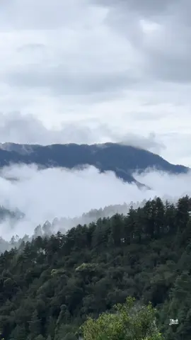 #jiri #dolakha #switzerlandofnepal #fyp #💚 