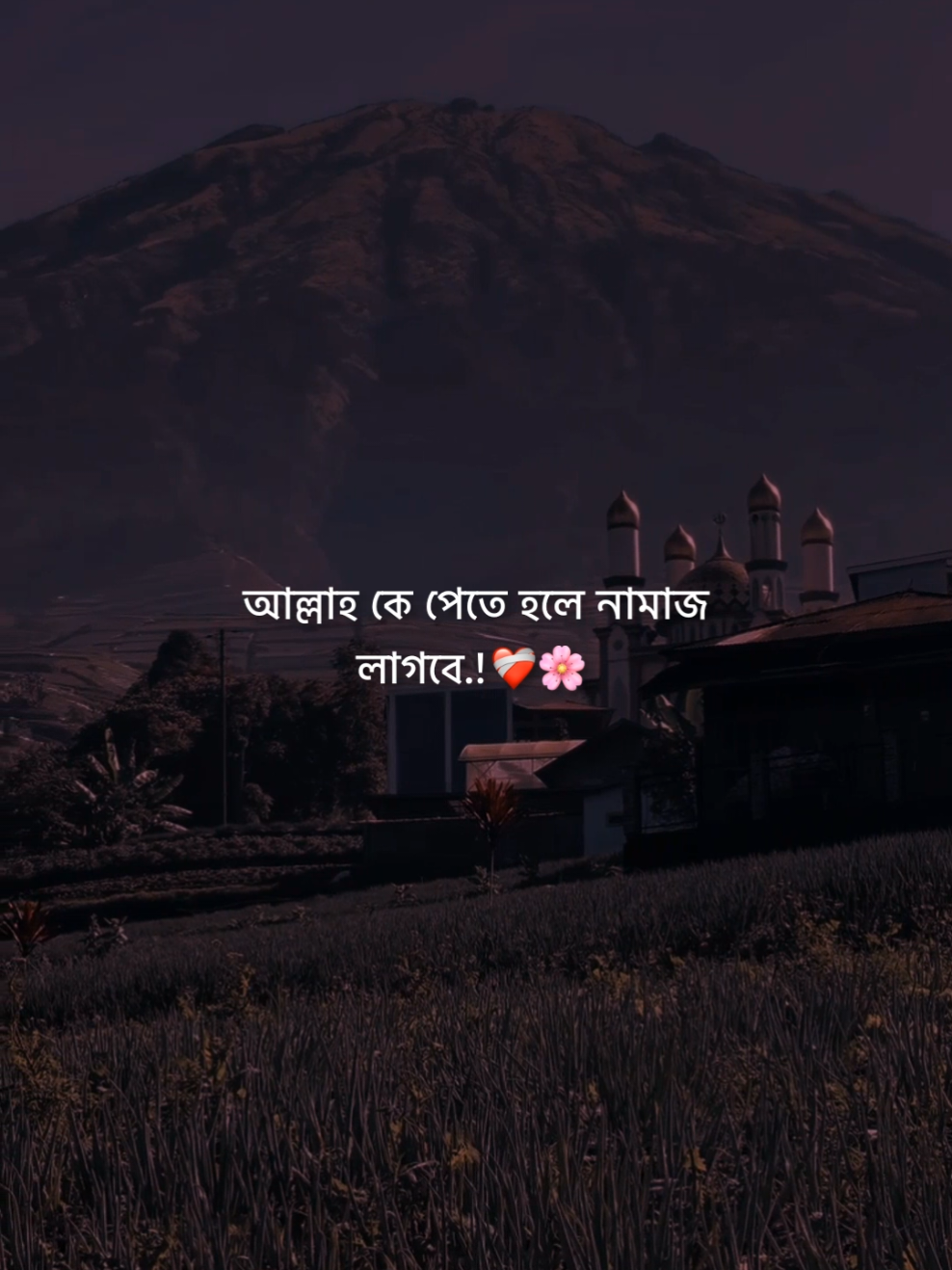 আল্লাহকে পেতে হলে নামাজ লাগবে.! ❤️‍🩹🌸      #flyp #foryou #foryoupage 