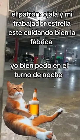 #malditotrabajo 