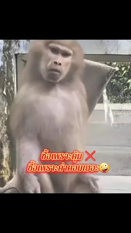 เซรั่มขนตา#เซรั่มขนตา #เซรั่มบํารุงขนคิ้วขนตา #ตาสวยให้โลกจํา #ขนตายาว 