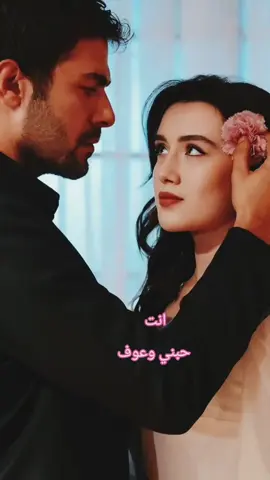 بالمختصر#زيد_الحبيب  #اغاني_عراقيه  #اغاني  #انته_حبني_وعوف_الباقي_عليه  #اغاني_رومانسية 