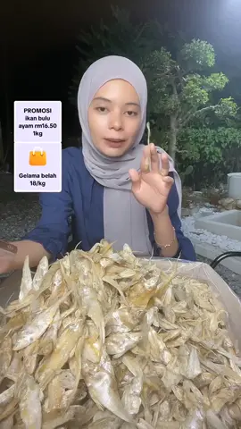 Ikan bulu ayam Tanjung Dawai ni memang kurang masin! Sesuai sangat untuk nasi lemak. Kena cuba sebelum harga naik!