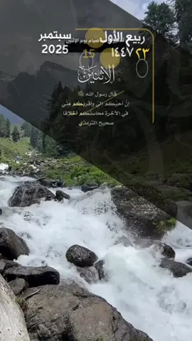 #explore #1 #tik_tok قال رسول الله ﷺ   إنَّ أحبَّكم إليَّ وأقربَكم منِّي  في الآخرةِ محاسنُكم أخلاقًا صحيح الترمذي