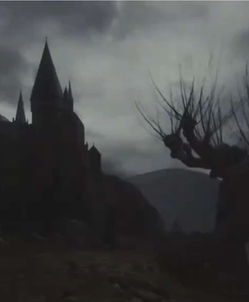 Enhypen in Harry Potter world!  #enhypen #core #vibes #vampires #enhypencore #dark #aesthetic #darkaesthetic #enhypenedit #edits #fyp #tiktok #beauty #desireunleash #horror #harrypotter #goldenbrown #vintagecore #aesthetic #harrypotterworld #vibes #warm #castles 