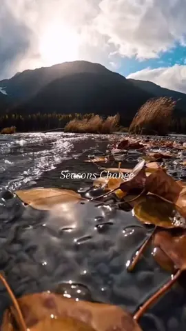 #fall #seasonschange 