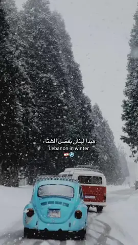 #lebanon #foryoupage #fyp 🇱🇧 #viral #لبنان 